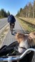 Cykeltur til stranden med hund i kurven